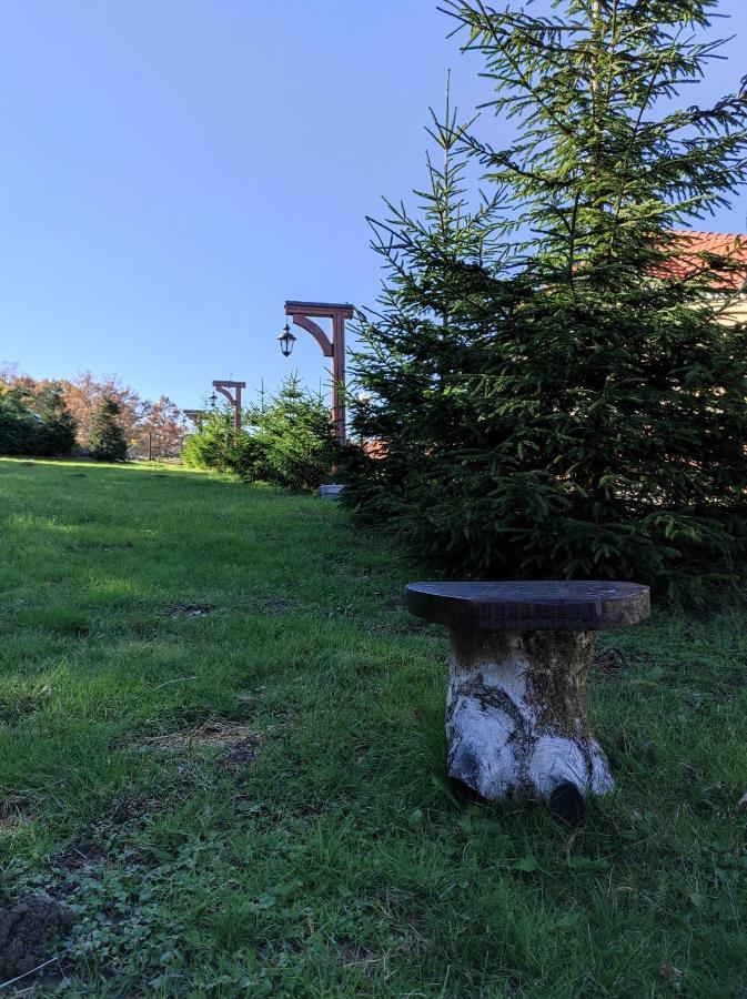 Vila Hajdi Planina Tara Bajina Basta Exterior foto